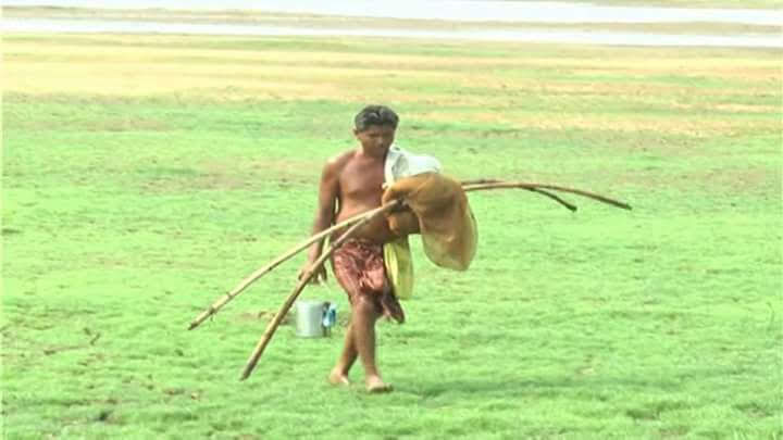 ଧାନ