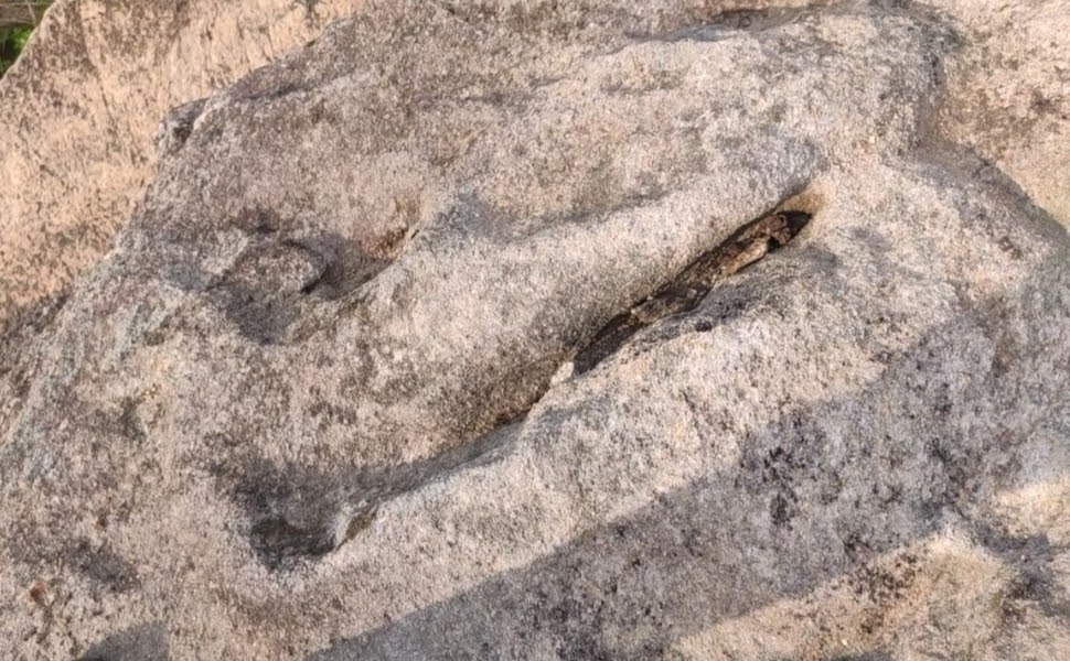ଦାଦନ – ୨